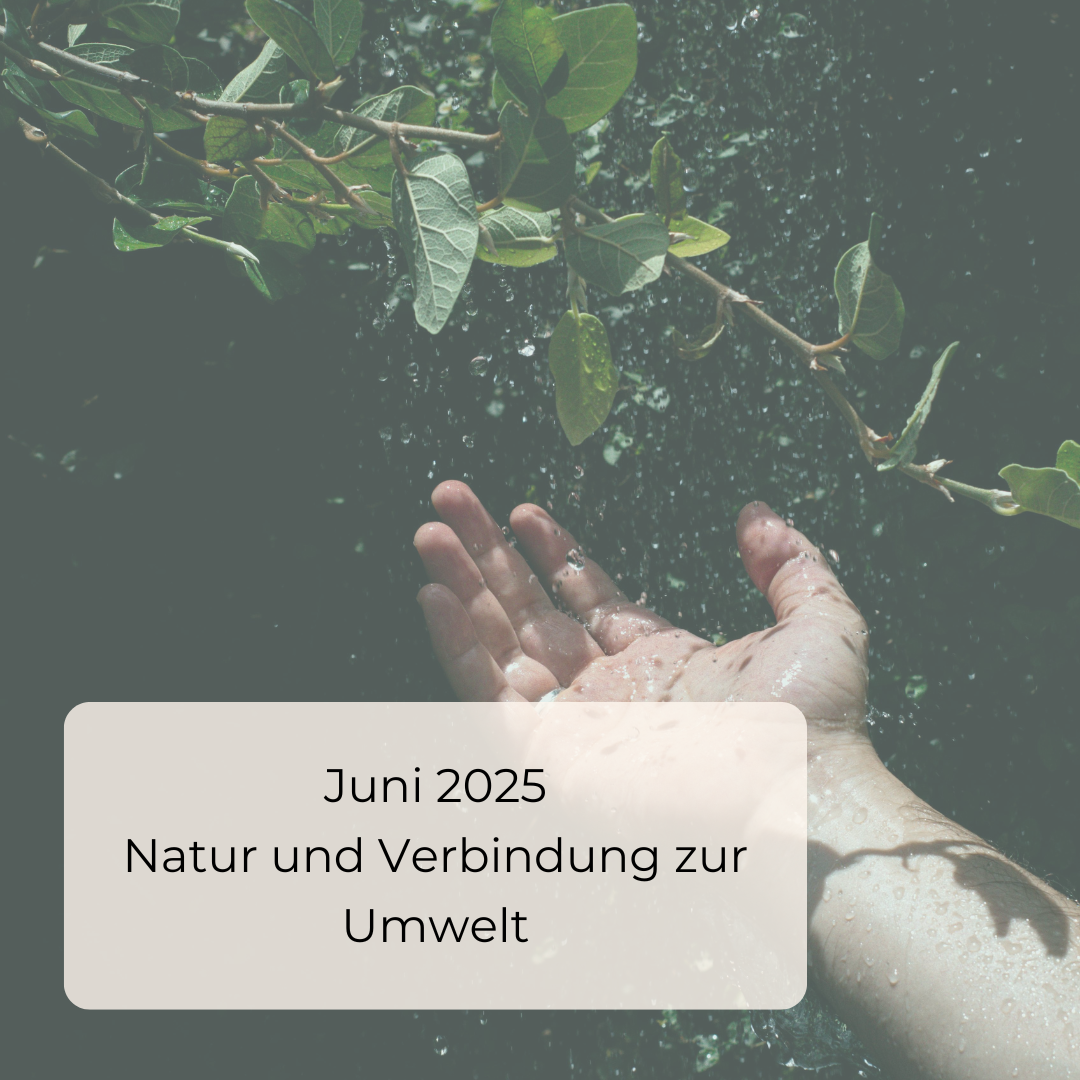 Insta BCA, Podcast, 3 Fragen (1)